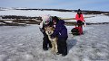 Dog sledding (25)